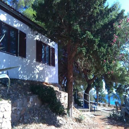 Tourist Resort Milna Vis Exterior foto